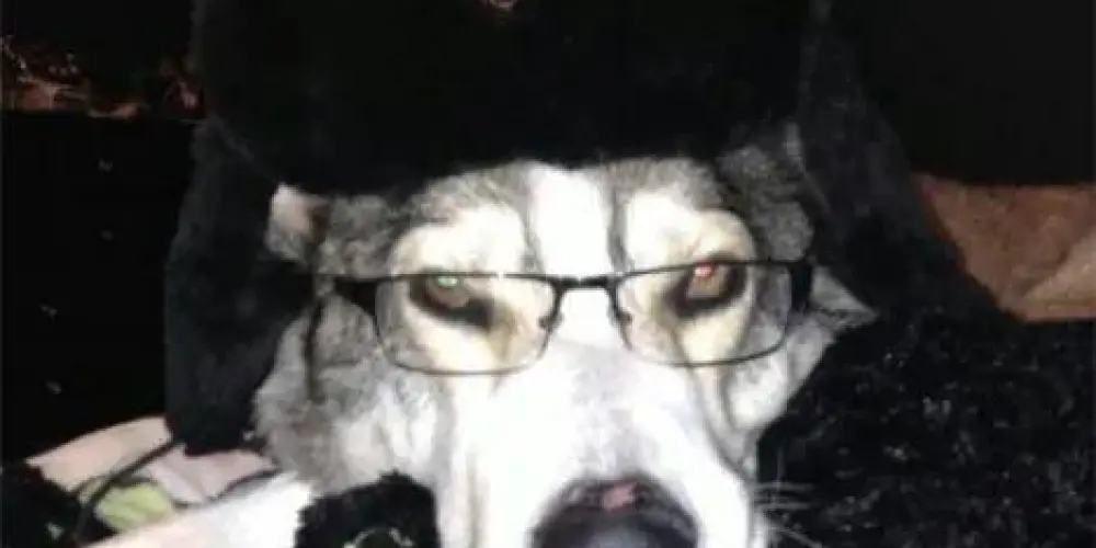 Imagem do grupo de WhatsApp seven night 🥀