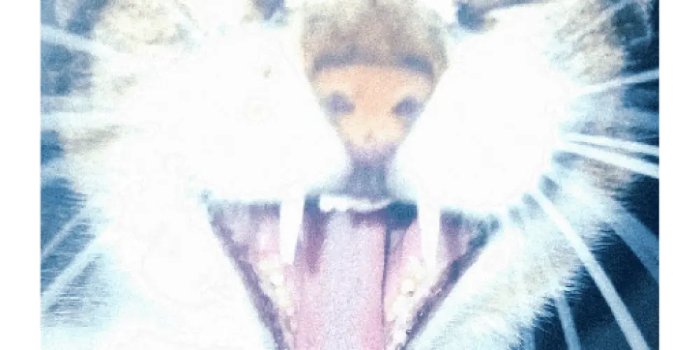 Imagem do grupo de WhatsApp SG