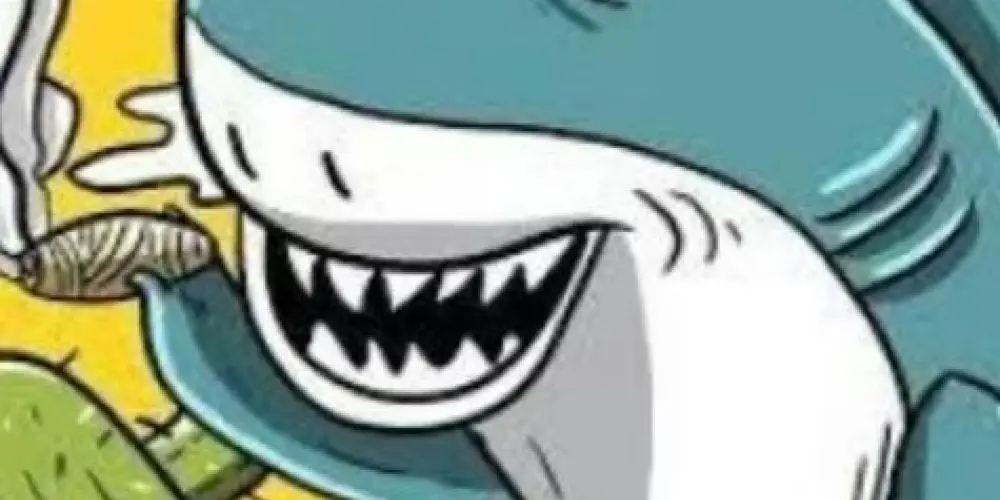 Imagem do grupo de WhatsApp Shark Green {cannabis}