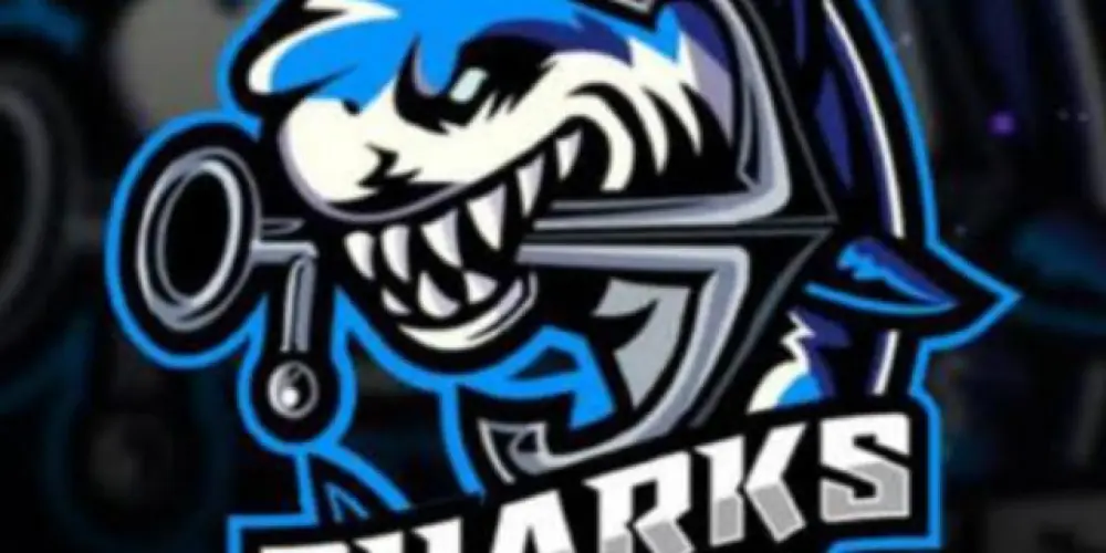 Imagem do grupo de WhatsApp ✅📦💸SHARK STORE CONTAS DE BLOX FRUITS📦💸✅