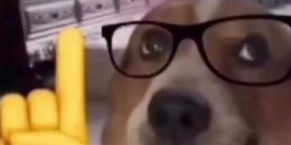 Imagem do grupo de WhatsApp • SΗΔDΩW CЯΞW