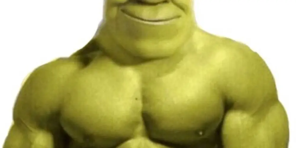 Imagem do grupo de WhatsApp Sherek bombado