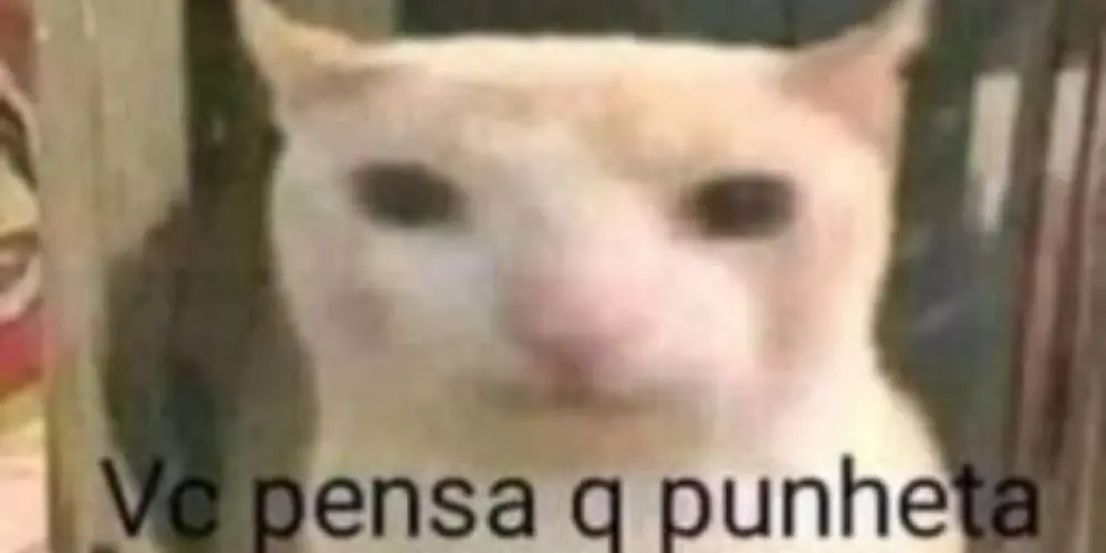 Imagem do grupo de WhatsApp Shitarabe 2.0