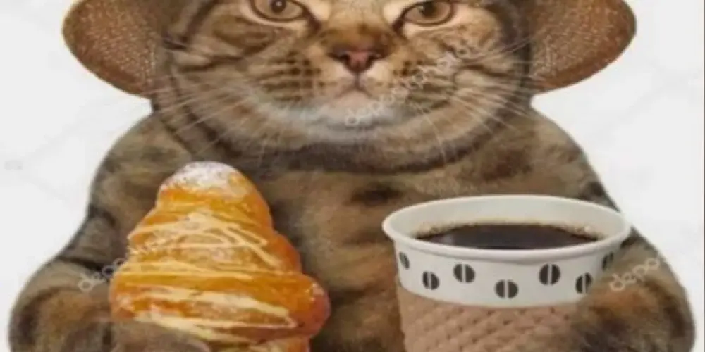 Imagem do grupo de WhatsApp shitchat