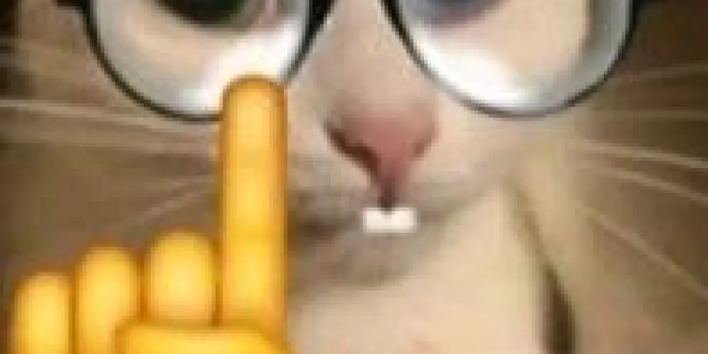 Imagem do grupo de WhatsApp Shtlandia