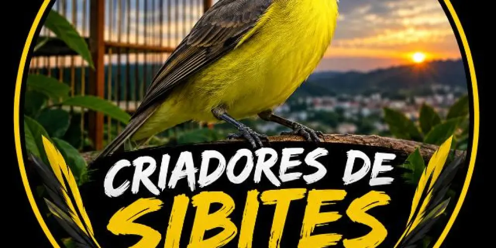 Imagem do grupo de WhatsApp SIBITEIROS DE FERREIROS, TIMBAÚBA E REGIÃO
