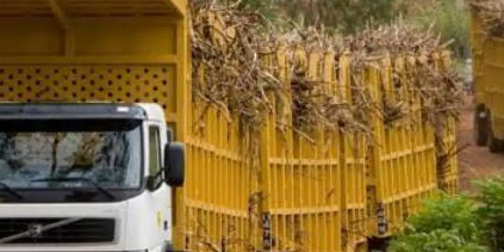 Imagem do grupo de WhatsApp SIGA 🛣Bem Canavieiro 🎋🚛🚜