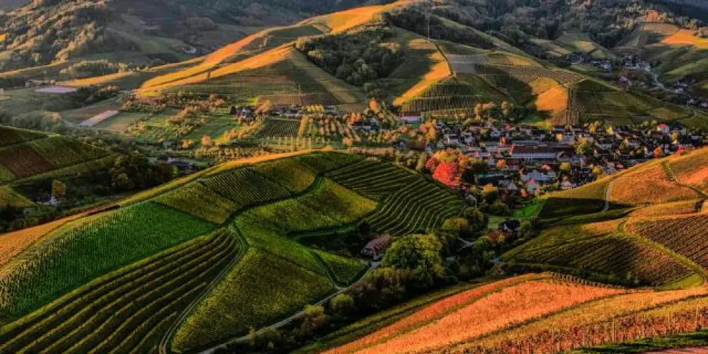 Imagem do grupo de WhatsApp SiGiLO🤤🔥❤️