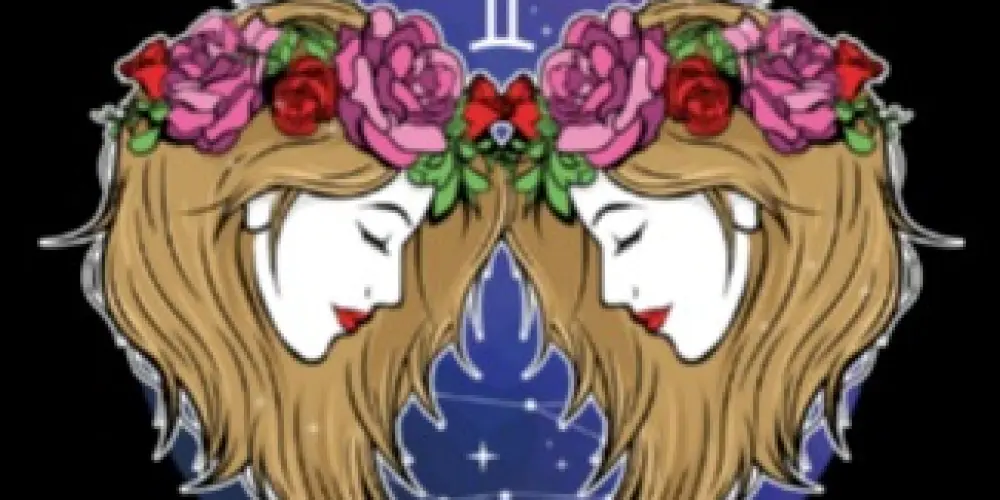 Imagem do grupo de WhatsApp Signo de Gêmeos - 1