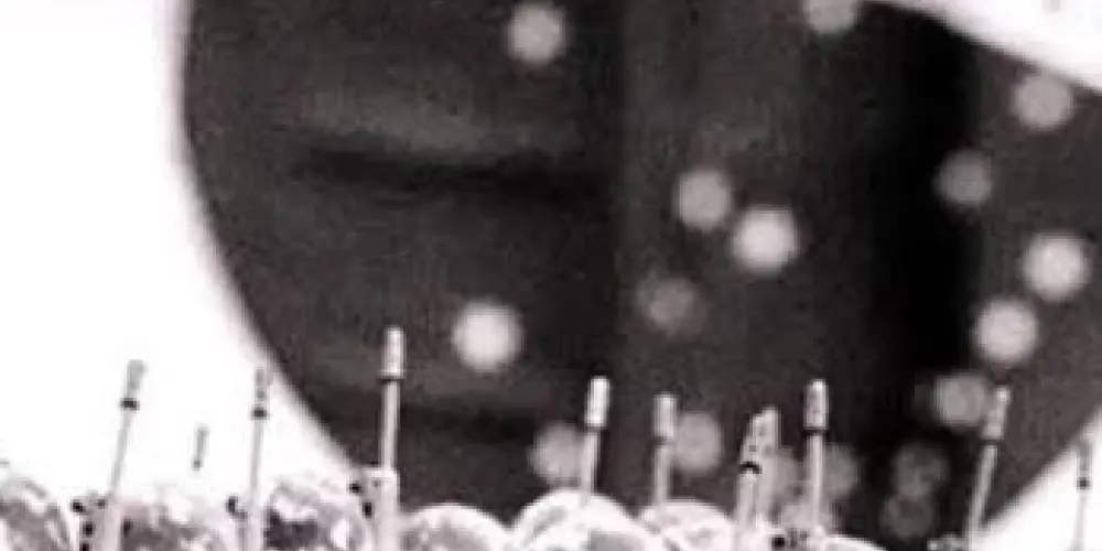 Imagem do grupo de WhatsApp SIMULADOR DE SENADO 1964