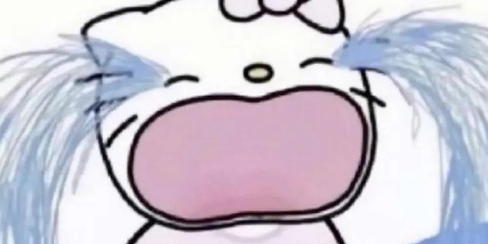 Imagem do grupo de WhatsApp sin dormir (brazilian's version)