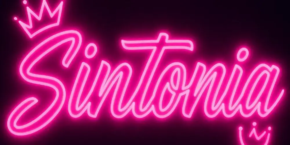 Imagem do grupo de WhatsApp Sintonia Web