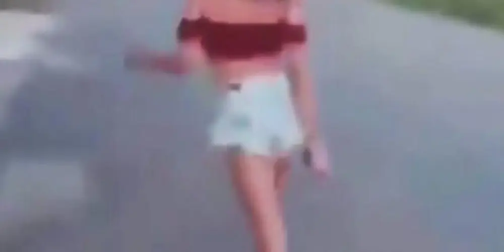 Imagem do grupo de WhatsApp sítio da afonsinha