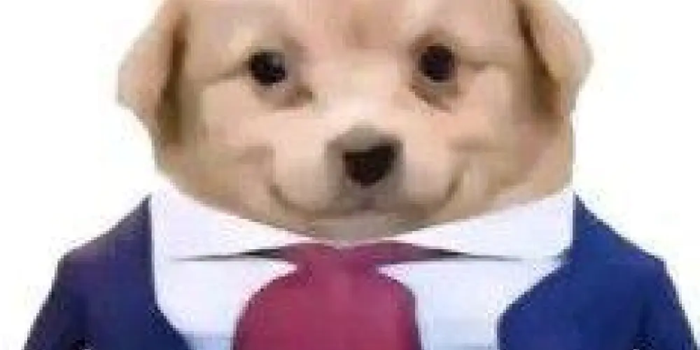 Imagem do grupo de WhatsApp Sítio da afonsinha