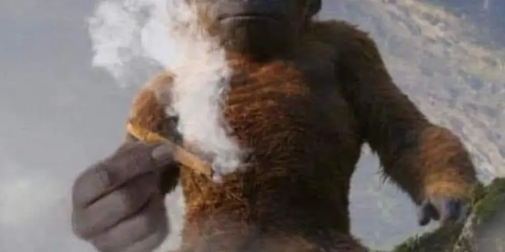 Imagem do grupo de WhatsApp skan