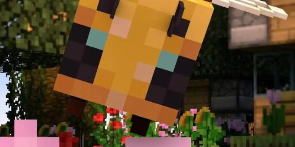 Imagem do grupo de WhatsApp Sky mine