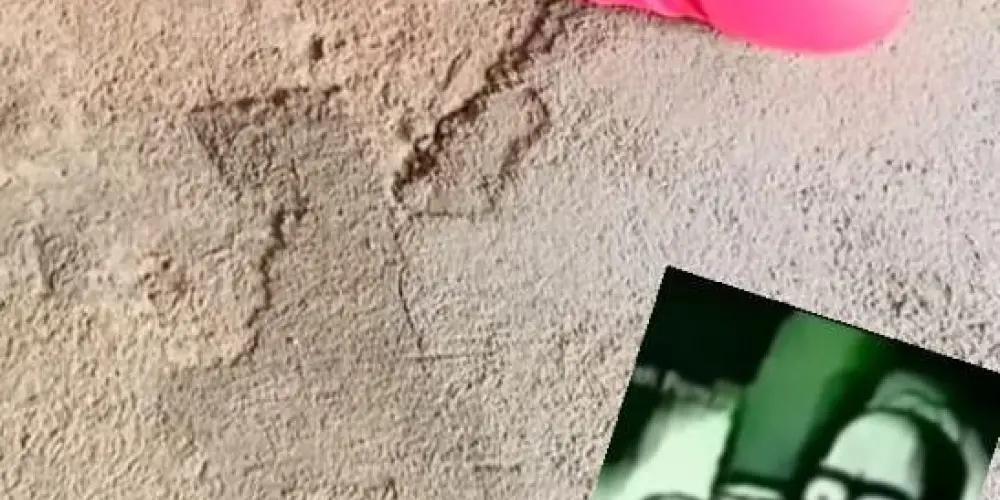 Imagem do grupo de WhatsApp Slk cachorro