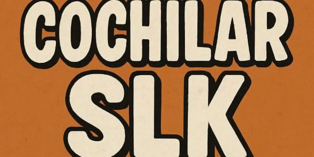 Imagem do grupo de WhatsApp SLK-COCHILAR😴