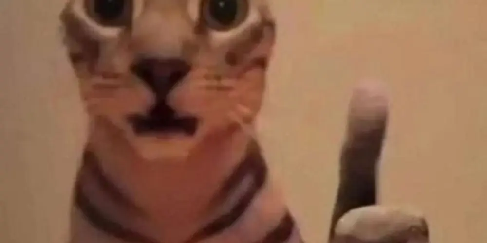 Imagem do grupo de WhatsApp slk-num-compensa📍