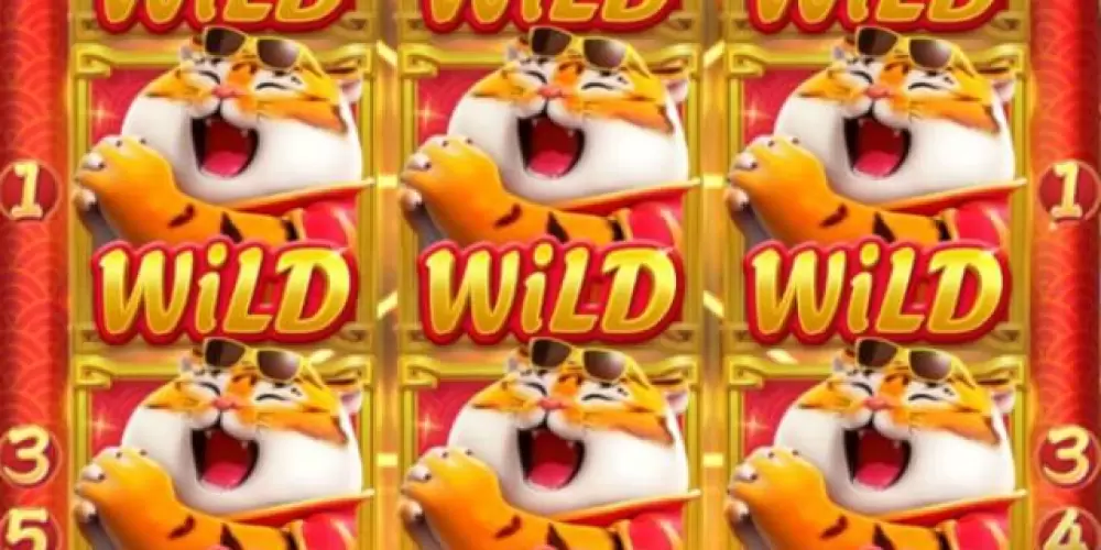 Imagem do grupo de WhatsApp Slots Pagantes