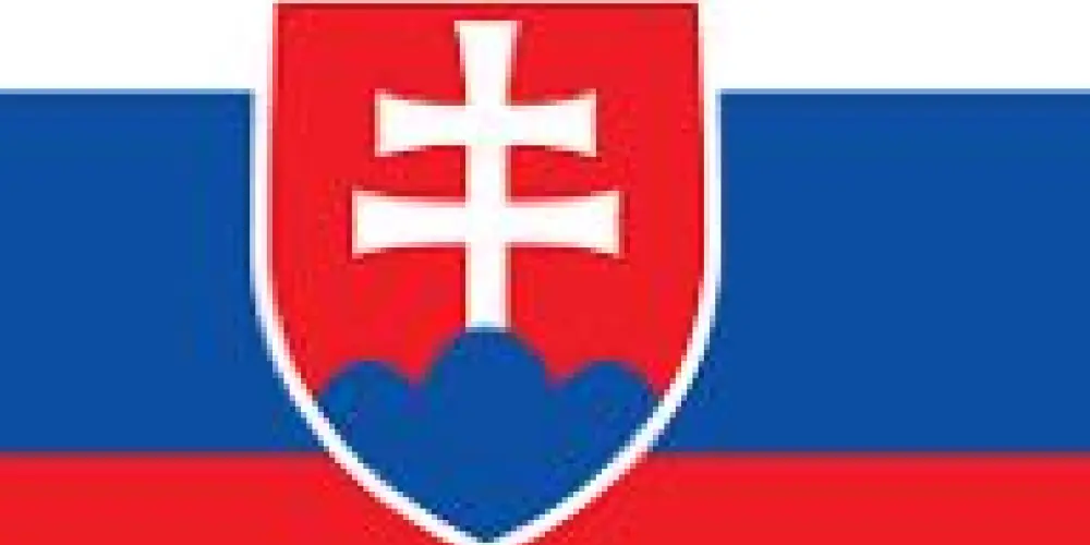 Imagem do grupo de WhatsApp Slovakia sports