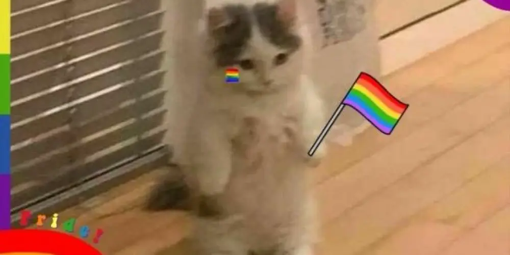 Imagem do grupo de WhatsApp ° Slutty family  °