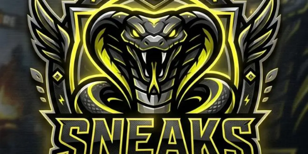 Imagem do grupo de WhatsApp SNEAKS FF
