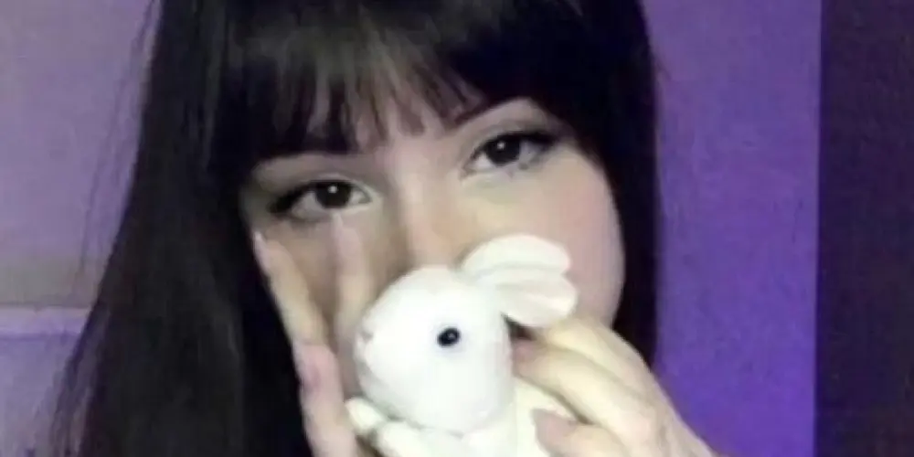 Imagem do grupo de WhatsApp SnZorro🦠🩸