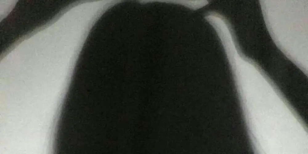 Imagem do grupo de WhatsApp So Adolescentes de Salvador💖❤️🔥