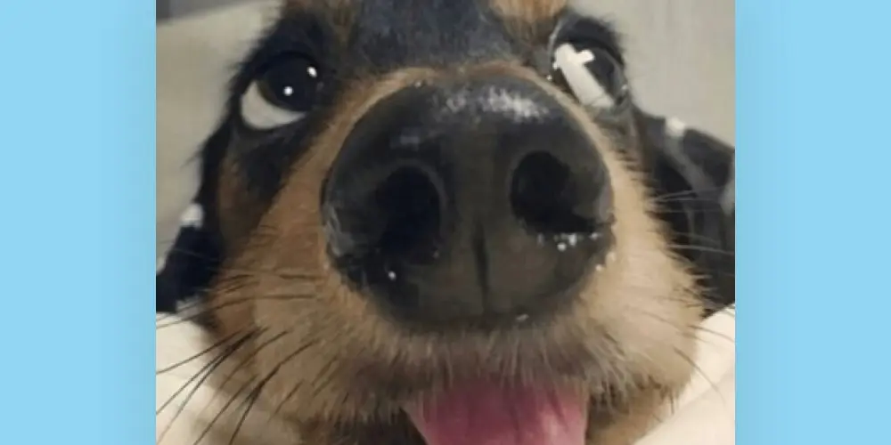 Imagem do grupo de WhatsApp Só amizade 💖💕