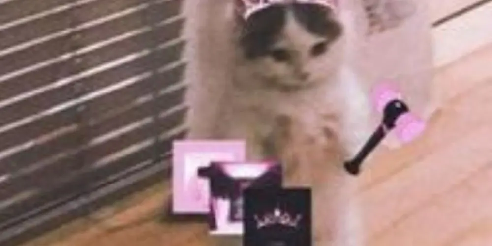 Imagem do grupo de WhatsApp Só amizade 💋