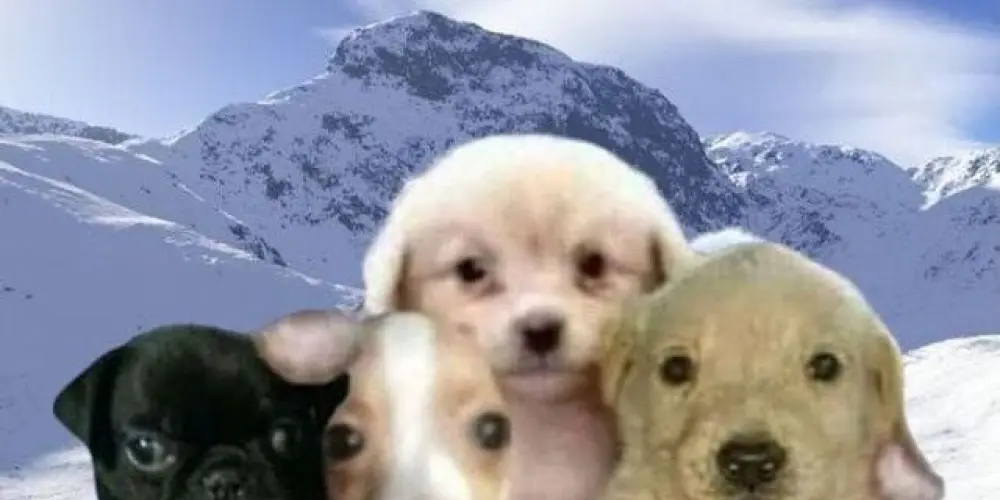 Imagem do grupo de WhatsApp Só amizade 😎✌🏻