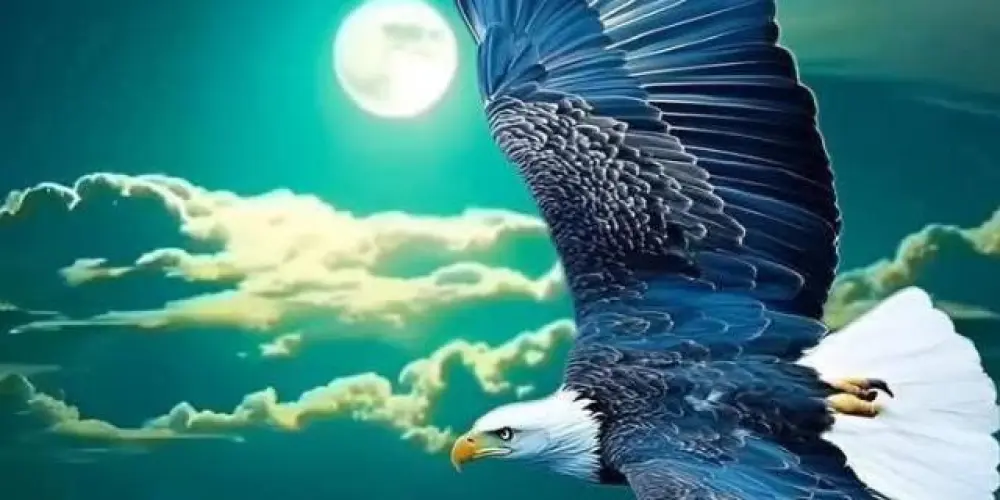 Imagem do grupo de WhatsApp Só amizade