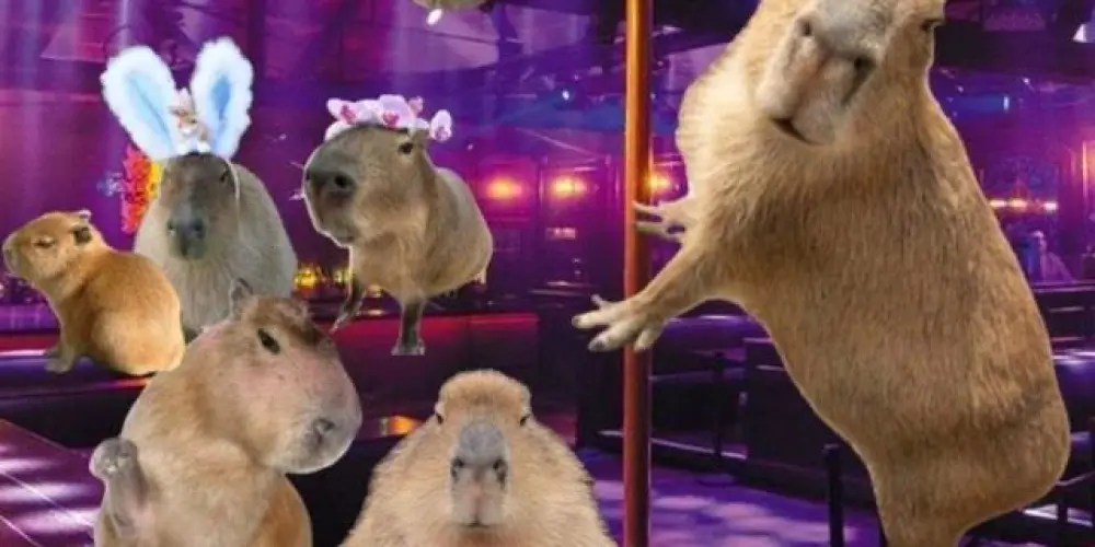 Imagem do grupo de WhatsApp Só as molieres 👁️🫦👁️