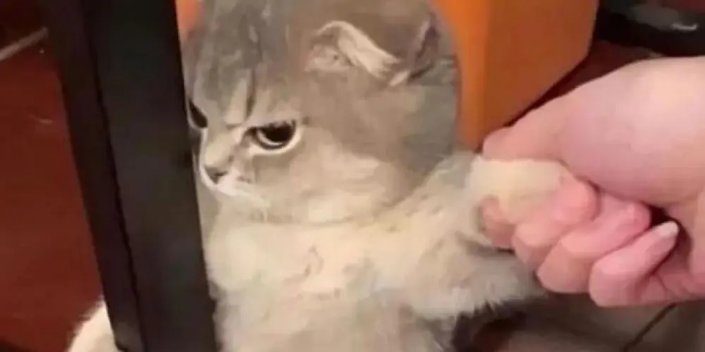 Imagem do grupo de WhatsApp SÓ BAGUNÇA 🤪