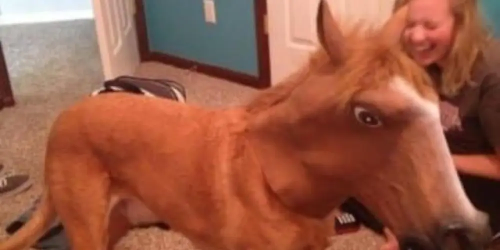 Imagem do grupo de WhatsApp Só bagunça mn🤓