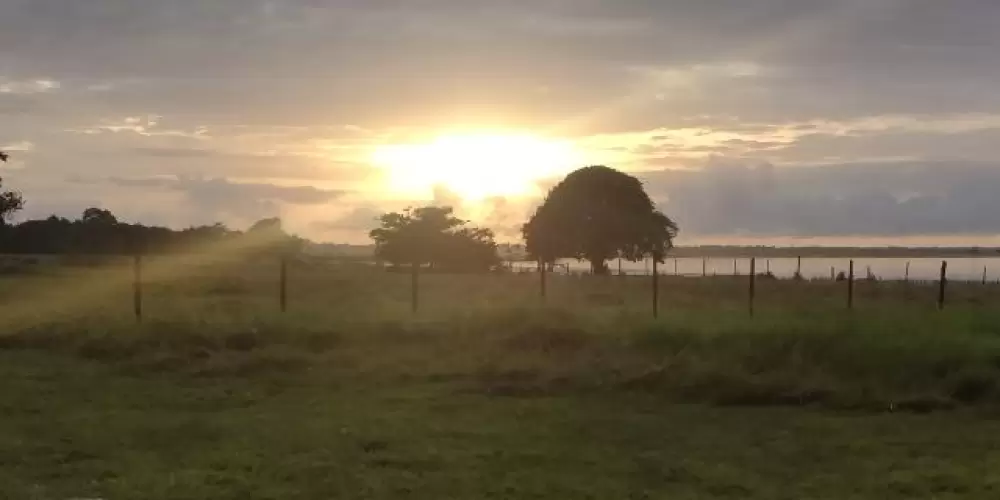 Imagem do grupo de WhatsApp Só bolsonaristas