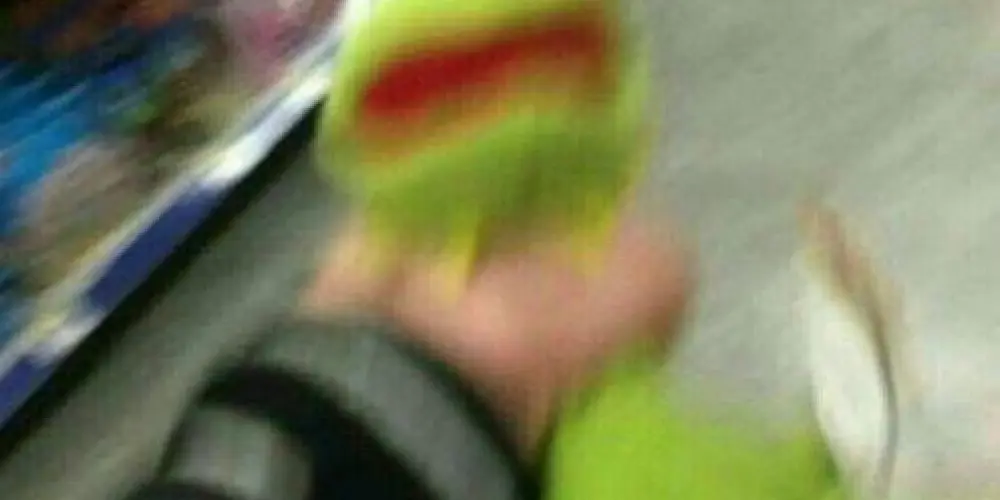 Imagem do grupo de WhatsApp Só caos 🔐🔥