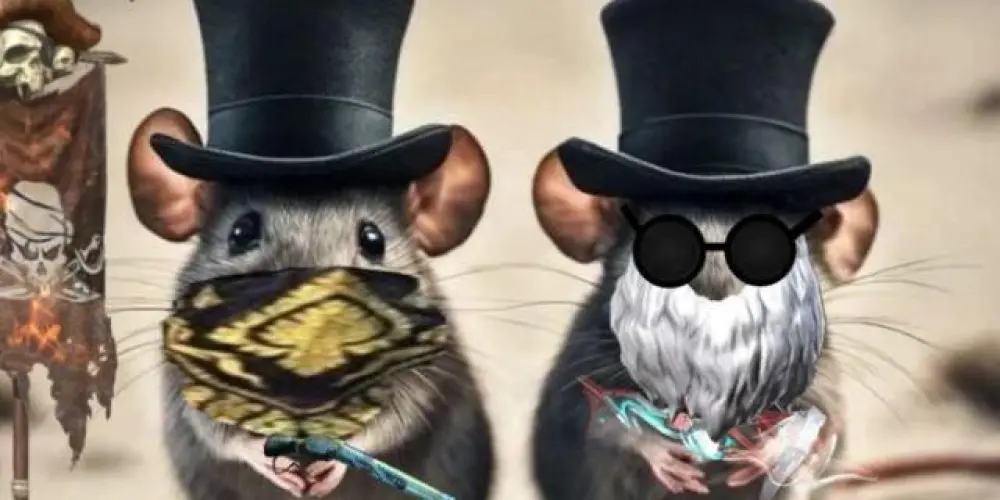 Imagem do grupo de WhatsApp Só Capa FF