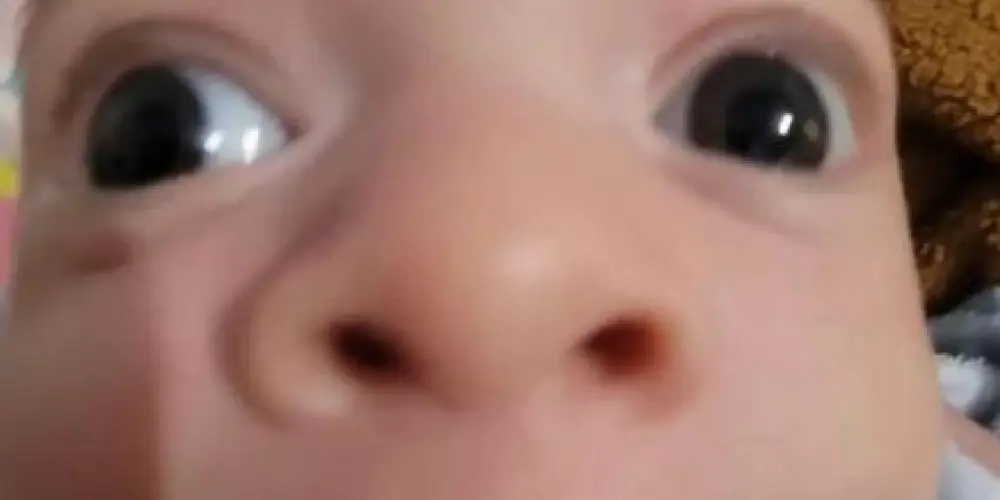 Imagem do grupo de WhatsApp SÓ FELICIDADE