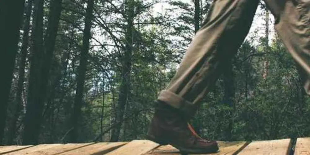 Imagem do grupo de WhatsApp 🔝 Só Figurinhas 🔝