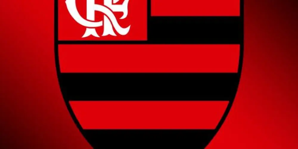 Imagem do grupo de WhatsApp Só flamengo