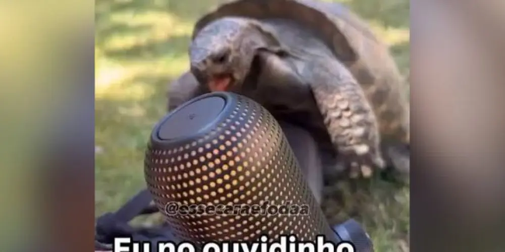 Imagem do grupo de WhatsApp Só gemido