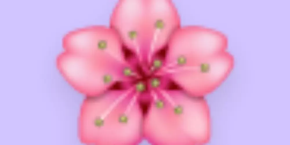 Imagem do grupo de WhatsApp So meninas 💞😚