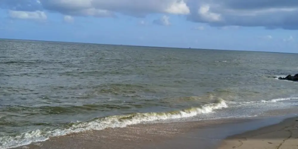 Imagem do grupo de WhatsApp Só meninas 👑❤️