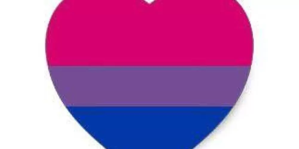 Imagem do grupo de WhatsApp 🏳️‍🌈🩷 SÓ MENINAS BISSEXUAIS 🩷🏳️‍🌈