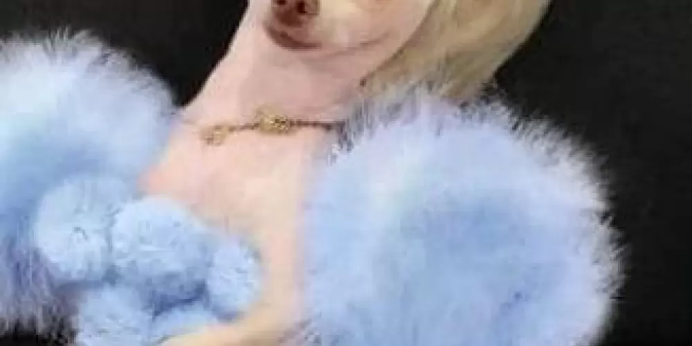 Imagem do grupo de WhatsApp Só os amigos (as)🥰