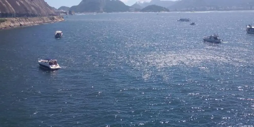 Imagem do grupo de WhatsApp Só os cria