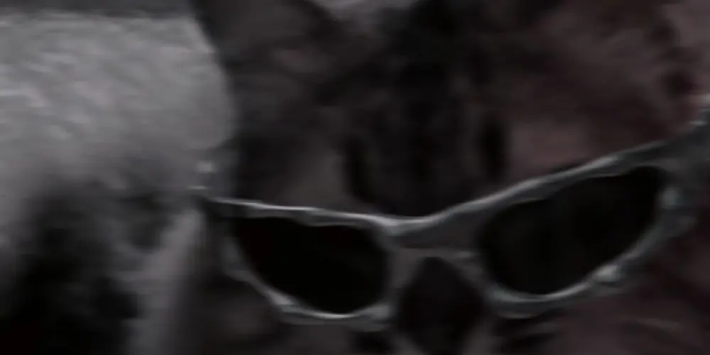 Imagem do grupo de WhatsApp SÓ OS DE VERDADE