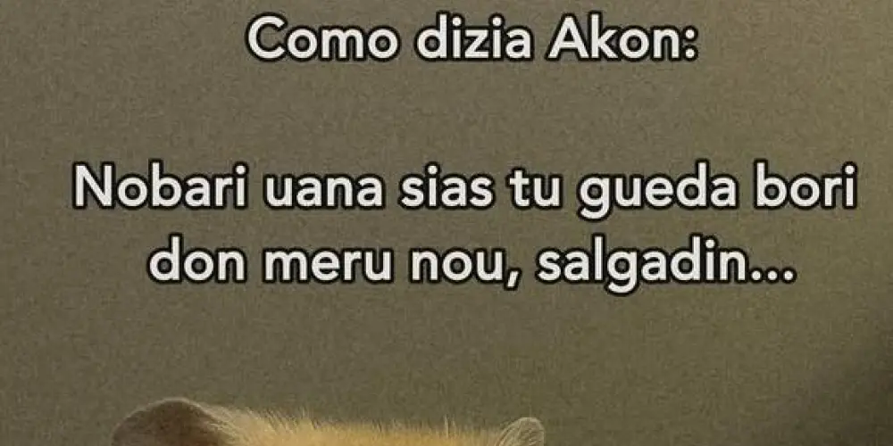 Imagem do grupo de WhatsApp SÓ OS DEMENTES 🤡